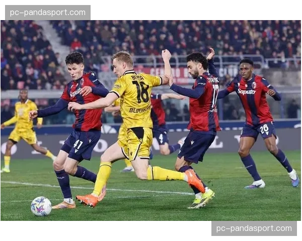 博洛尼亚对阵莱切,欧战球队迎战保级队